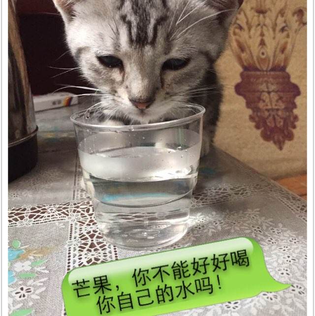 法国公用事业账单买个多少钱